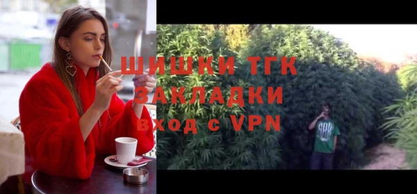 ГАЛЛЮЦИНОГЕННЫЕ ГРИБЫ Балахна