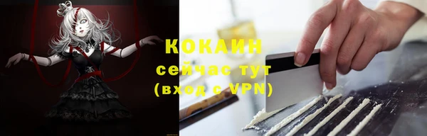 стаф Баксан