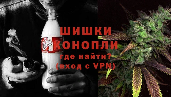 стаф Баксан