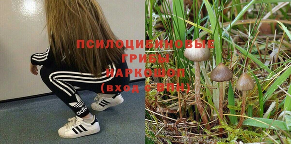 ГАЛЛЮЦИНОГЕННЫЕ ГРИБЫ Балахна