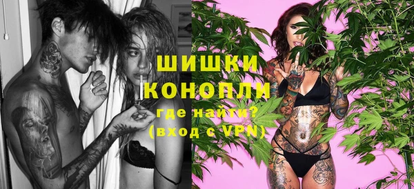 ГАЛЛЮЦИНОГЕННЫЕ ГРИБЫ Балахна